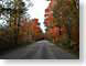AAfallRoad.jpg leaves leafs trees forest woods woodlands fall colors vibrant Landscapes - Rural
