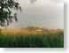 ANbellaValiano.jpg countryside Landscapes - Rural photography european tuscany italy