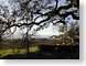 ANmumms.jpg Landscapes - Rural photography tree branches winery vineyard
