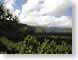 ANroadToHana.jpg clouds tropical tropics Landscapes - Nature green hawai'i hawaiian islands photography