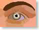 AZwatchDiff.jpg Logos, Apple Art eyes eyeballs