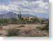BC10arizona.jpg cactus desert clouds buildings Landscapes - Rural photography