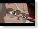 BD01Robert.jpg Animation Portraits face eyes eyeballs males men man boys beefcake the boondocks, the