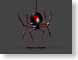 BIsimplyPoison.jpg Logos, Apple Holidays grey gray graphite black spider webs spiderwebs red