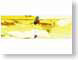 BKFyellwBalloons.jpg yellow Art - Illustration vector graphics