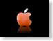 BS02ApplePumpkin.jpg Logos, Apple pumpkin pumkin black orange