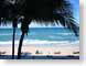CAmiamiBeach.jpg Landscapes - Water beach sand coast ocean water palm trees
