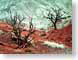 CDSsentinels.jpg desert national parks regional parks national monuments Landscapes - Nature utah