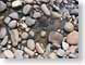 CWmaineRocks.jpg stones rocks Landscapes - Nature