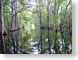 DCorangeCanal.jpg water trees forest woods woodlands Landscapes - Nature