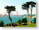 DMsanFrancisco.jpg trees forest woods woodlands grass Landscapes - Urban golden gate bridge