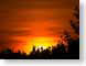 FJS200707sunrise.jpg Sky sunrise sunset dawn dusk silhouettes orange photography tree branches