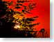 FJS200805sunrise.jpg Sky sunrise sunset dawn dusk yellow silhouettes red orange photography