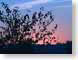 FJSfallShadows.jpg Sky sunrise sunset dawn dusk silhouettes photography