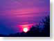 FJSjulySunrise.jpg Sky sunrise sunset dawn dusk purple lavendar lavender silhouettes pink photography