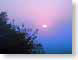 FJSmistyMorning.jpg Sky sunrise sunset dawn dusk blue silhouettes pink photography