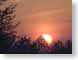 FJSsummerSunrise.jpg Sky sunrise sunset dawn dusk silhouettes tree tops