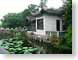 FL03Shizilin.jpg trees forest woods woodlands lakes ponds water loch Architecture green china chinese photography