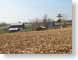 FLwiFarm.jpg buildings Landscapes - Rural barn photography corn fields fields crops