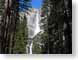 GH06Yosemite.jpg trees forest woods woodlands waterfalls Landscapes - Nature yosemite national park half dome el capitan photography