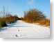 GKsnowSteps.jpg snow white Landscapes - Rural path walkway luxembourg luxemburg luxemberg photography