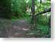 JLpath.jpg trees forest woods woodlands Landscapes - Nature path walkway