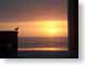 JMseasideSunset.jpg Sky birds avian animals sunrise sunset dawn dusk beach sand coast ocean water silhouettes photography