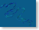 JMsnake.gif Art abstract simple bondi blue subtle