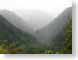 JPRpoluluValley.jpg trees forest woods woodlands Landscapes - Nature mist light rain hawai'i hawaiian islands photography