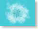 JRpassionFlower.jpg Flora - Flower Blossoms Art - Illustration blue