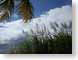 JSqueensland.jpg clouds Landscapes - Nature palm trees sugar cane