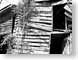 LA02ruralRuin.jpg buildings black and white bw grayscale black & white Architecture woodgrain wood grain north carolina ruins archaeology ancient