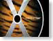 LHtiger.jpg Logos, Mac OS X black orange tiger mac os x 10.4