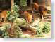 LLlions.jpg Fauna mammals animals photography zoo