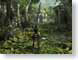 MA02TRU.jpg Games tomb raider lara croft