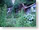 MAsylvanFallMill.jpg gardens Architecture Landscapes - Rural green photography water wheel