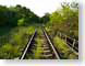 MBtracks.jpg grass Landscapes - Rural green railroad rails traintracks train tracks photography