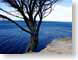 MCsentinel.jpg Flora ocean water blue australia photography tree branches