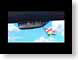 MD13kiki.jpg Animation Movies kikis delivery service