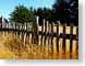 MHseaRanch.jpg trees forest woods woodlands Landscapes - Rural woodgrain wood grain photography fence