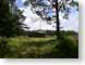 MKoldRadio.jpg buildings trees forest woods woodlands Landscapes - Rural green