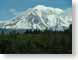 MW03shasta.jpg clouds trees forest woods woodlands snow white mountains Landscapes - Nature california photography