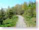 NTspringPath.jpg Landscapes - Rural green path walkway photography