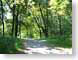 NTsummerRoad.jpg trees forest woods woodlands Landscapes - Rural road street green photography