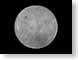 NasaLROfarside.jpg Spacescapes nasa black and white bw grayscale black & white moon satellite photography lunar reconnaissance orbiter