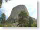PI02devilsTower.jpg Movies trees forest woods woodlands mountains Landscapes - Nature photography