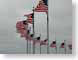 PIusFlags.jpg flags patriotism patriotic Still Life Photos photography