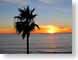 PS02carlsbad.jpg Sky sunrise sunset dawn dusk ocean water palm trees silhouettes photography