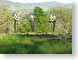 RJW05chandon.jpg Art grass green photography napa valley california wine country