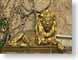 RJW13Princeton.jpg felines cats animals statues University and College Campuses gold photography princeton new jersey
